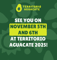 Avocado Territory Medellín 2026