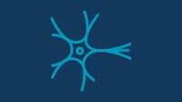 Neurologie Refresher 16 CME Hamburg 2026