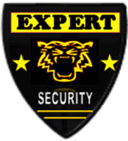 Expert Security Kiev 2027